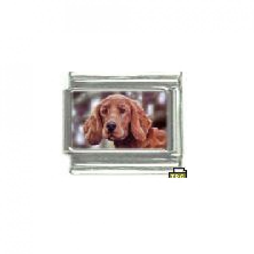 Dog charm - Irish Setter 1 - 9mm Italian charm - Click Image to Close