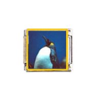 Penguin (p) - enamel 9mm Italian charm
