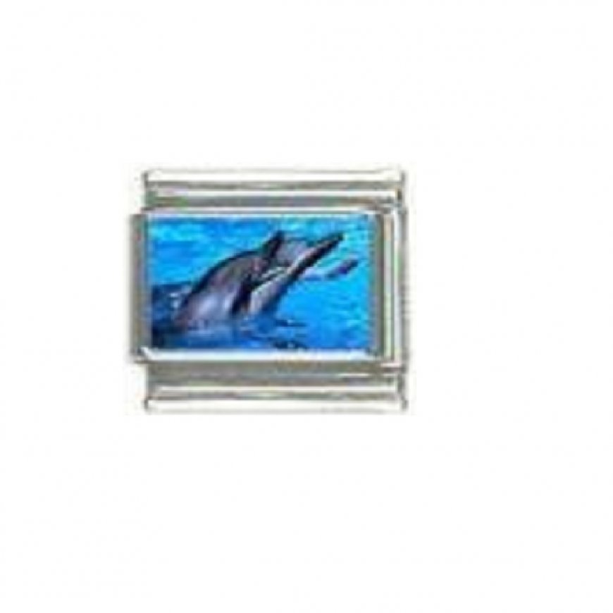 Dolphin (x) photo 9mm Italian charm - Click Image to Close