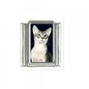 Cat - tabby cat (n) photo 9mm Italian charm