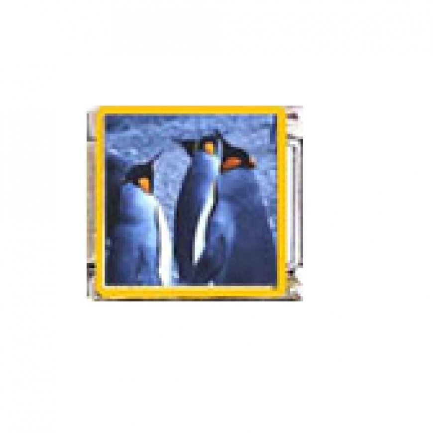 Penguin (au) - enamel 9mm Italian charm - Click Image to Close