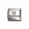 Taurus laser charm (21/4-21/5) 9mm Italian charm