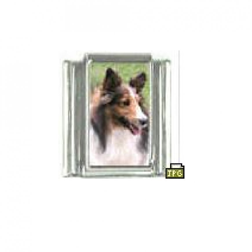 Dog charm - Sheltie sheepdog 4 - 9mm Italian charm - Click Image to Close