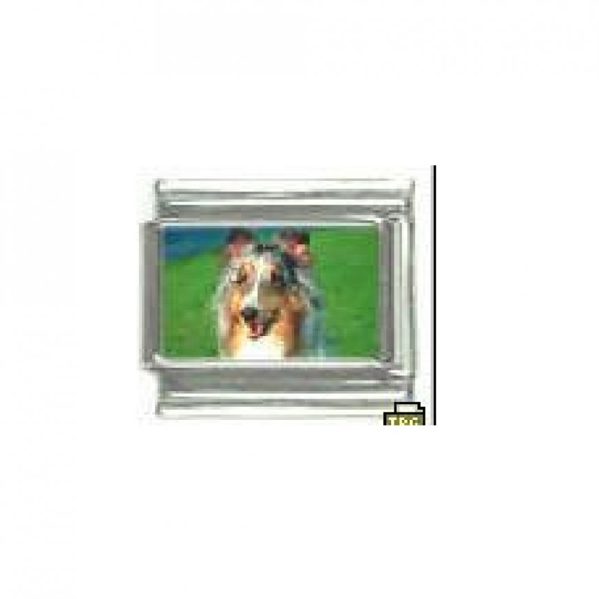 Dog charm - Collie 2 - 9mm Italian charm - Click Image to Close