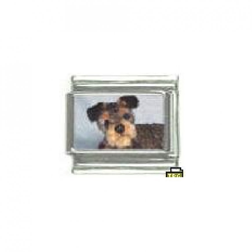 Dog charm - Jack Russell 3 - 9mm Italian charm - Click Image to Close
