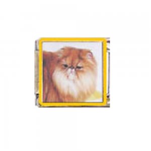 Cat - Persian cat (d) 9mm enamel Italian charm