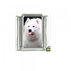 Dog charm - Samoyed 5 - 9mm Italian charm