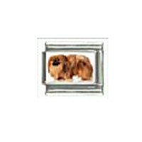 Dog charm - Pekingese 2 - 9mm Italian charm