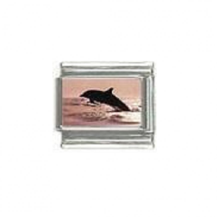 Dolphin (u) photo 9mm Italian charm - Click Image to Close