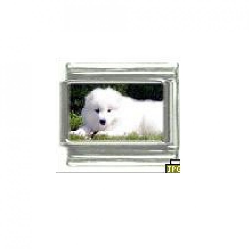 Dog charm - Samoyed 3 - 9mm Italian charm - Click Image to Close