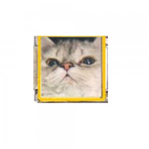 Cat - Persian cat (c) 9mm enamel Italian charm