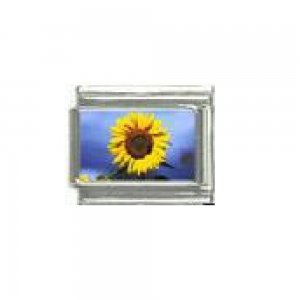 Sunflower (a) - Flower photo - 9mm Italian charm