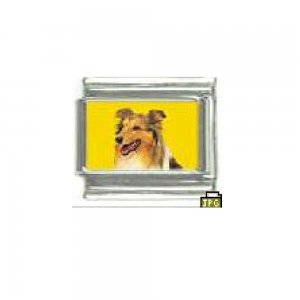 Dog charm - Sheltie sheepdog 2 - 9mm Italian charm
