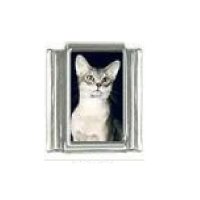 Cat - tabby cat (l) photo 9mm Italian charm