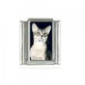Cat - tabby cat (l) photo 9mm Italian charm