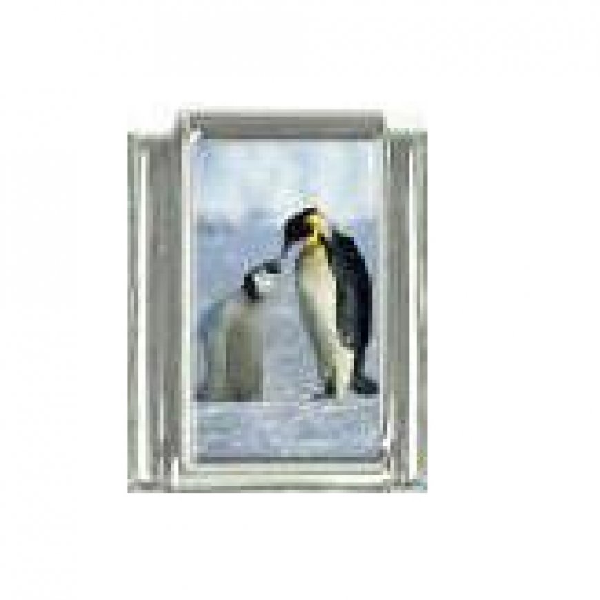 penguin (a) with baby - photo 9mm Italian charm - Click Image to Close
