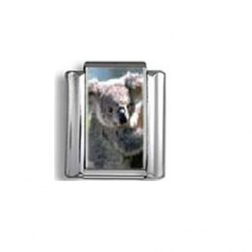 Koala bear (b) - photo 9mm Italian charm - Click Image to Close