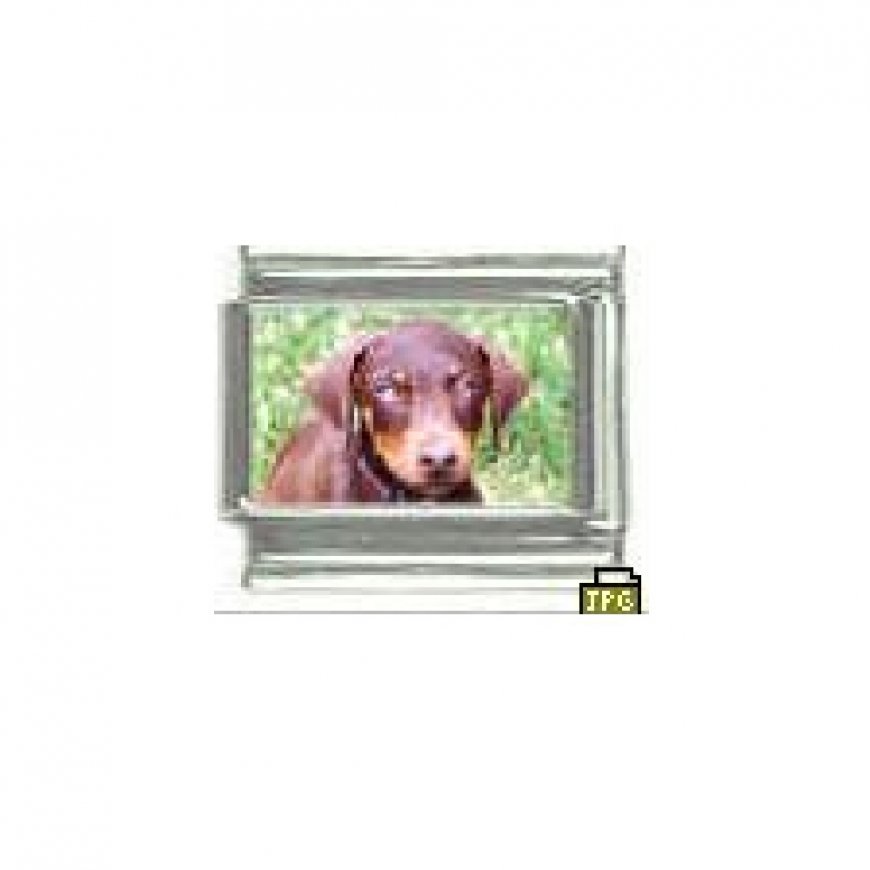 Dog charm - Doberman 2 - 9mm Italian charm - Click Image to Close