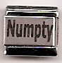 Numpty - laser 9mm Italian charm