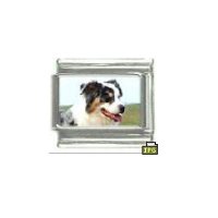 Dog charm - Australian shepherd 2 - 9mm Italian charm