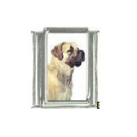 Dog charm - Mastiff 4 - 9mm Italian charm