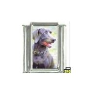 Dog charm - Weinmaraner 4 - 9mm Italian charm