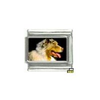 Dog charm - Australian shepherd 5 - 9mm Italian charm