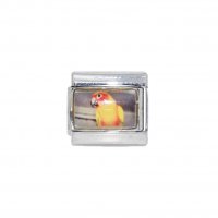 Love bird - parrott - photo 9mm Italian charm