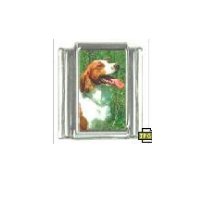 Dog charm - Brittany dog 5 - 9mm Italian charm