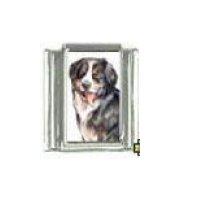 Dog charm - Bernese Mountain Dog 3 - 9mm Italian charm