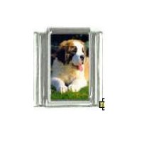 Dog charm - St Bernard 4 - 9mm Italian charm