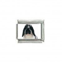 Lop eared rabbit (e) - Photo 9mm Italian charm