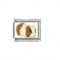 Guinea pig (b) photo charm - 9mm Italian charm