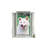 Dog charm - Akita 3 - 9mm Italian charm