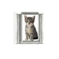Cat - grey tabby cat (f) photo 9mm Italian charm