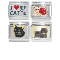 Cats