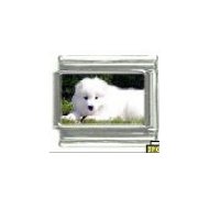 Dog charm - Samoyed 3 - 9mm Italian charm