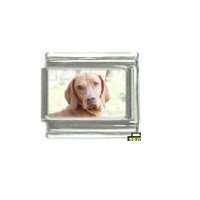 Dog charm - Vizsla 3 - 9mm Italian charm