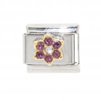 February Flower New Birthstone - Amethyst - 9mm Italian charm