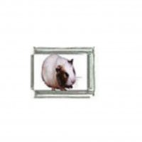 Guinea pig (o) photo charm - 9mm Italian charm
