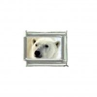 Polar bear (b) - photo 9mm Italian charm