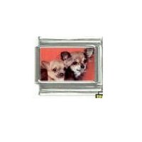 Dog charm - Chihuahua 2 - 9mm Italian charm