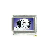 Dog charm - Dalmation 3 - 9mm Italian charm