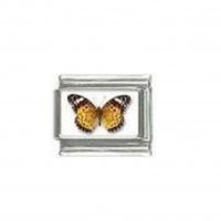 Butterfly photo a17 - 9mm Italian charm
