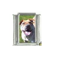 Dog charm - Shar Pei 5 - 9mm Italian charm