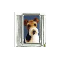 Dog charm - Fox Terrier 3 - 9mm Italian charm