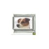 Dog charm - Jack Russell 4 - 9mm Italian charm