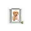 Dog charm - Labrador 5 golden - 9mm Italian charm