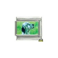 Dog charm - English Setter 1 - 9mm Italian charm