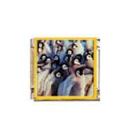 Penguin (y) - enamel 9mm Italian charm